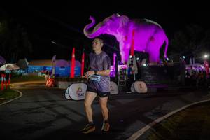 BIB: 
                            <button type="button" onclick="openModal(26552083)" class="btn btn-primary btn-sm float-right btn-popup" data-toggle="modal" data-target=".modal-high-quality">
                        <i class="fas fa-shopping-cart"></i> Add to Cart
                    </button>
                                            <button type="button" onclick="isThisMe(26552083, true)" class="btn btn-success btn-sm float-right btn-popup btn-isme hidden" data-toggle="tooltip" data-placement="bottom" title="นี่คือรูปของคุณใช่ไหม คลิกที่นี่เพื่อเอาเข้าอัลบั้ม">
                        <i class="fas fa-plus"></i> Add to album
                    </button>
                    <button type="button" onclick="isThisMe(26552083, false)" class="btn btn-warning btn-sm float-right btn-popup btn-isnotme hidden">
                        <i class="fas fa-ban"></i> Remove from album
                    </button>